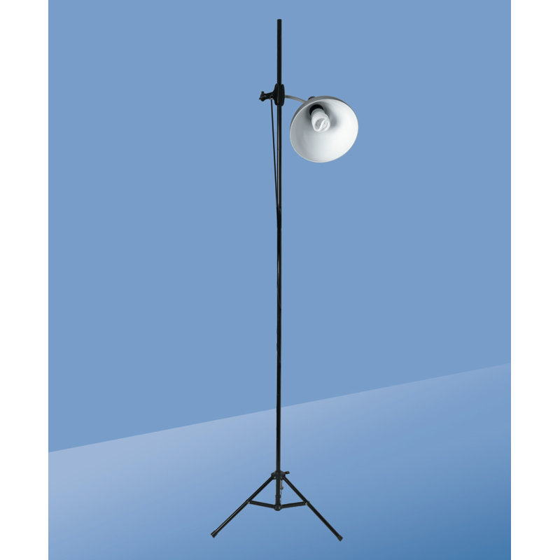 Daylight Company Daylight Artist Studio 86.6" Floor Lamp & Reviews